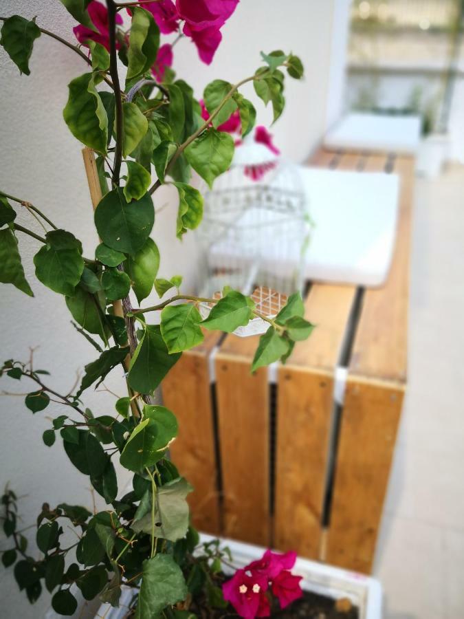 La Roche Bed and Breakfast Lecce Exterior foto